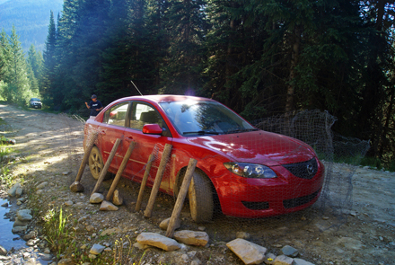 Portable chicken wire fences: The best way to keep pesky porcupines from chewing on tires and rubber brake lines of unattended cars. / Photo: Saleh Ewan.