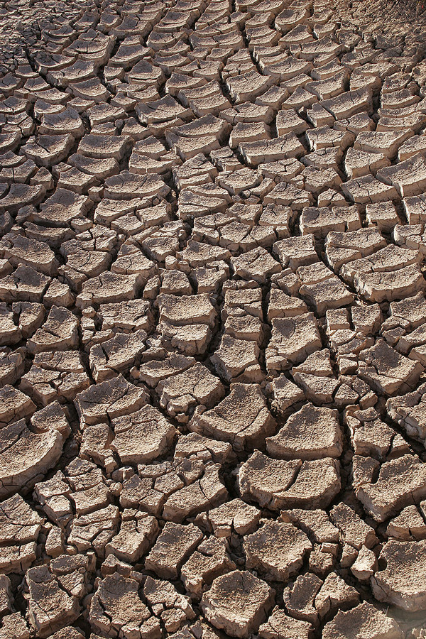 Dry ground in the Sonoran Desert, Sonora, Mexico. / Photo: Tomas Castelazo, Wikimedia Commons