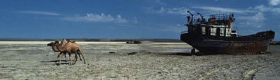 Camels walk past a ship that rests on what was once the floor of the Aral Sea. Poor water management has devastated the nation