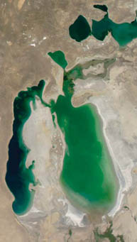 Satellite view shows the retreating shores of the Aral Sea, formerly one of the world's largest inland seas. This image was taken in 2003