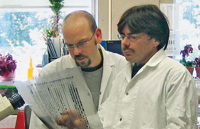 Jerry Pelletier (right) and Francis Robert are co-authors of a new paper about a natural compound that curbs cancer’s resistance to chemotherapy drugs. Courtesy of Albert Berghuis