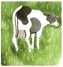 09-cow