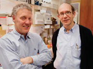  Professors Michael Meaney and Moshe Szyf have found genes can be turned on and off