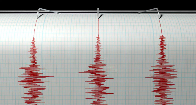 Seismograph.web