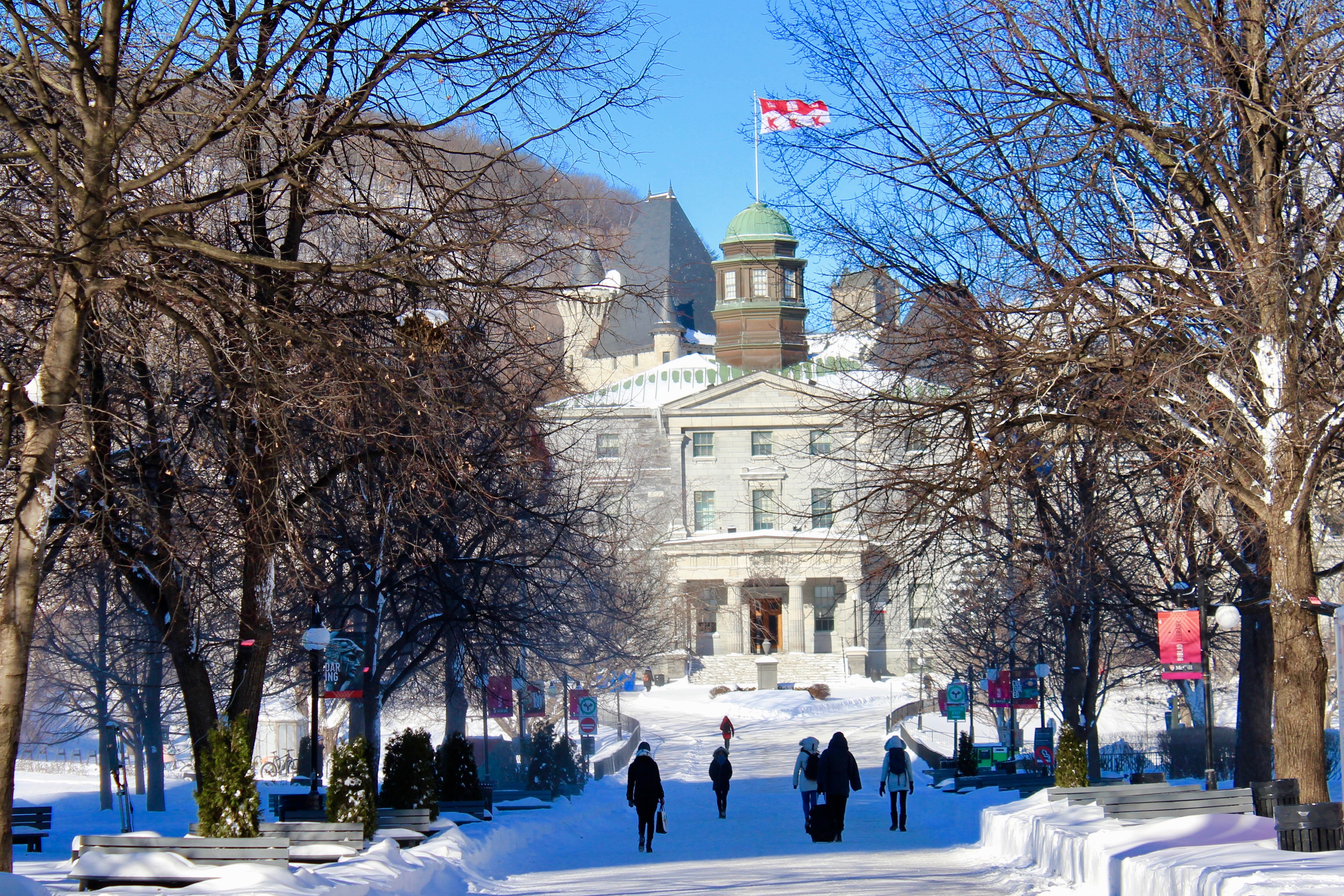 Let It (Fake) Snow!  Office for Science and Society - McGill University