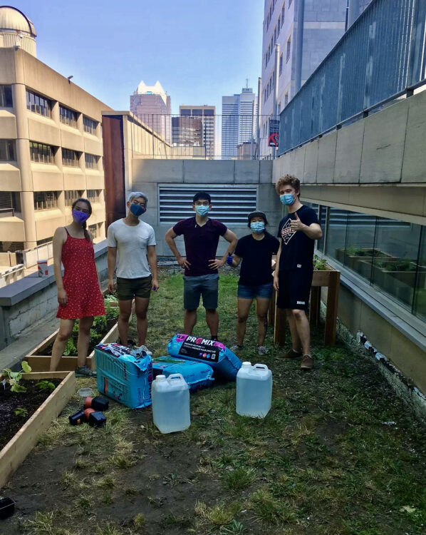 200 Urban Garden Turning Barren Land Into Vibrant Montreal Green   Urban Gardens 598x750 