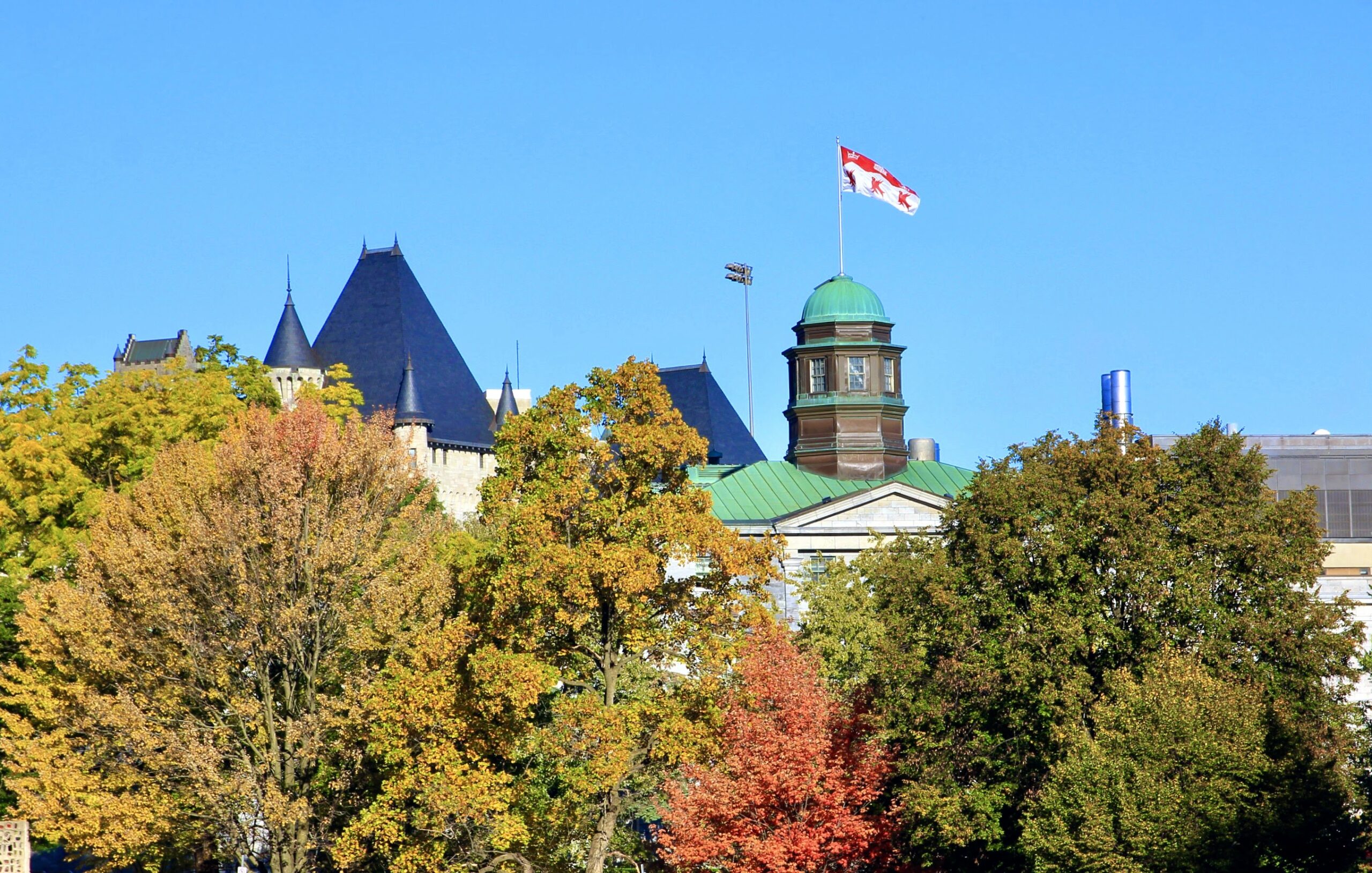 canada-s-best-mcgill-reporter