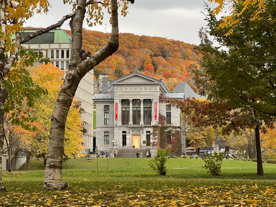 McGill top Canadian school for undergrad female startup founders