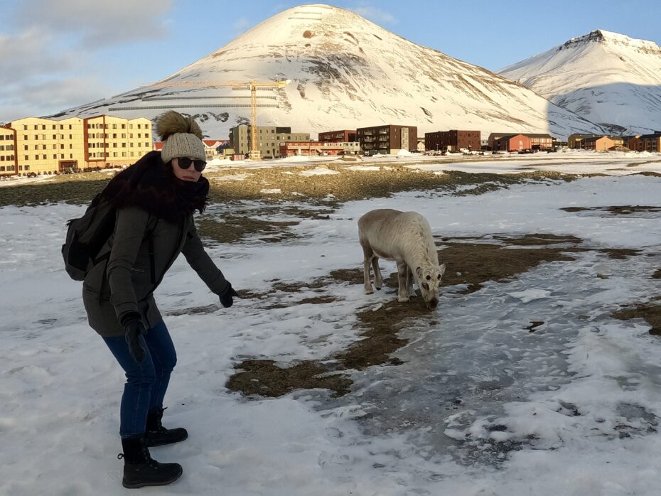 McGill doctoral student Lizz Webb approaching a reindeer in Longyearbyen