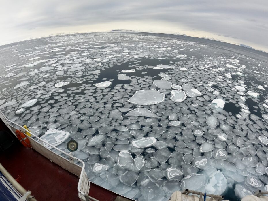 Ice floating in the sea