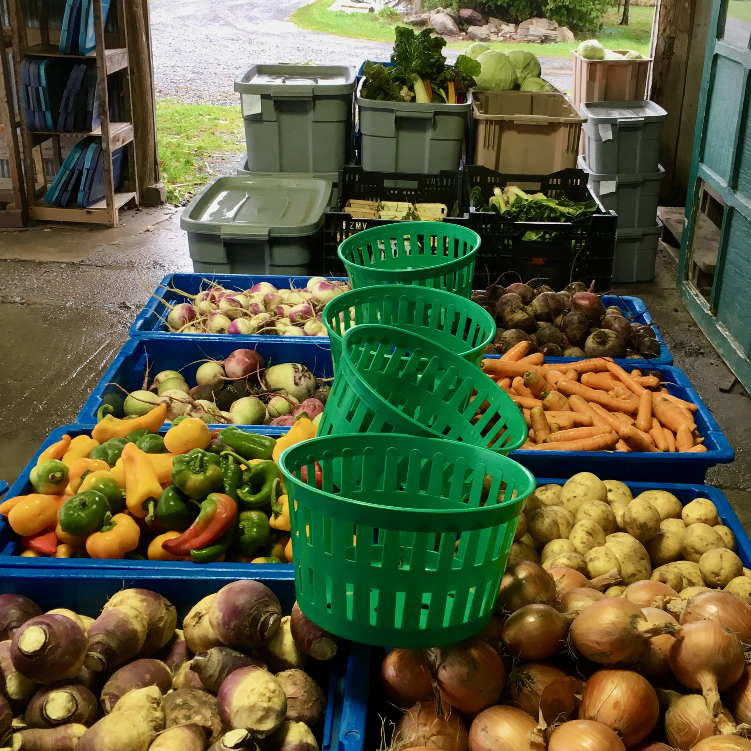 Boxes filled with fresh produce sitting in a warehouse