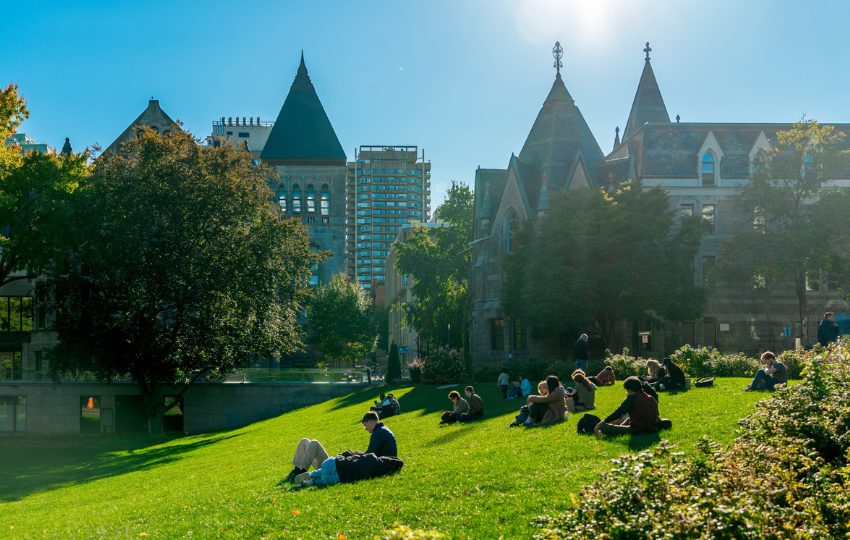 A sunny photo of green grass on the downtown lower campus