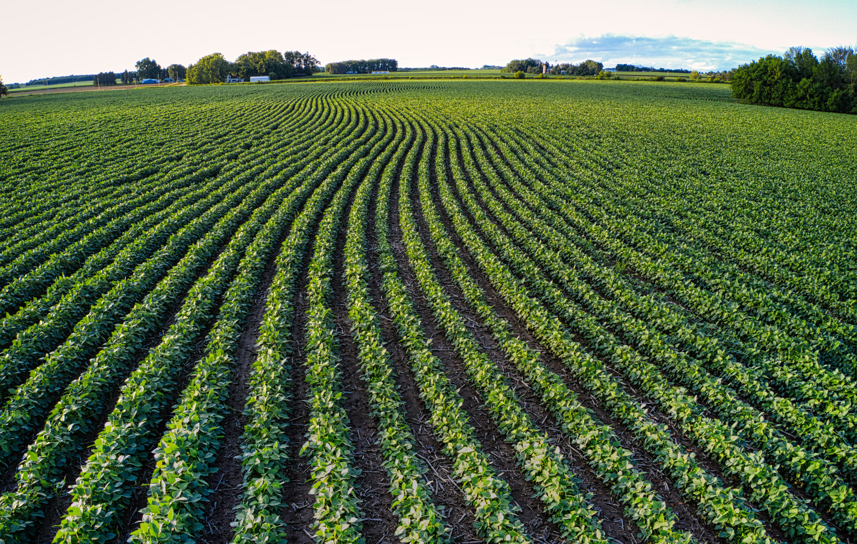 Mac launches agricultural research network for Quebec agronomists